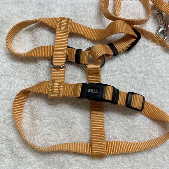 Harness with leash in gold/yellow NWOT - Picture 3 of 8